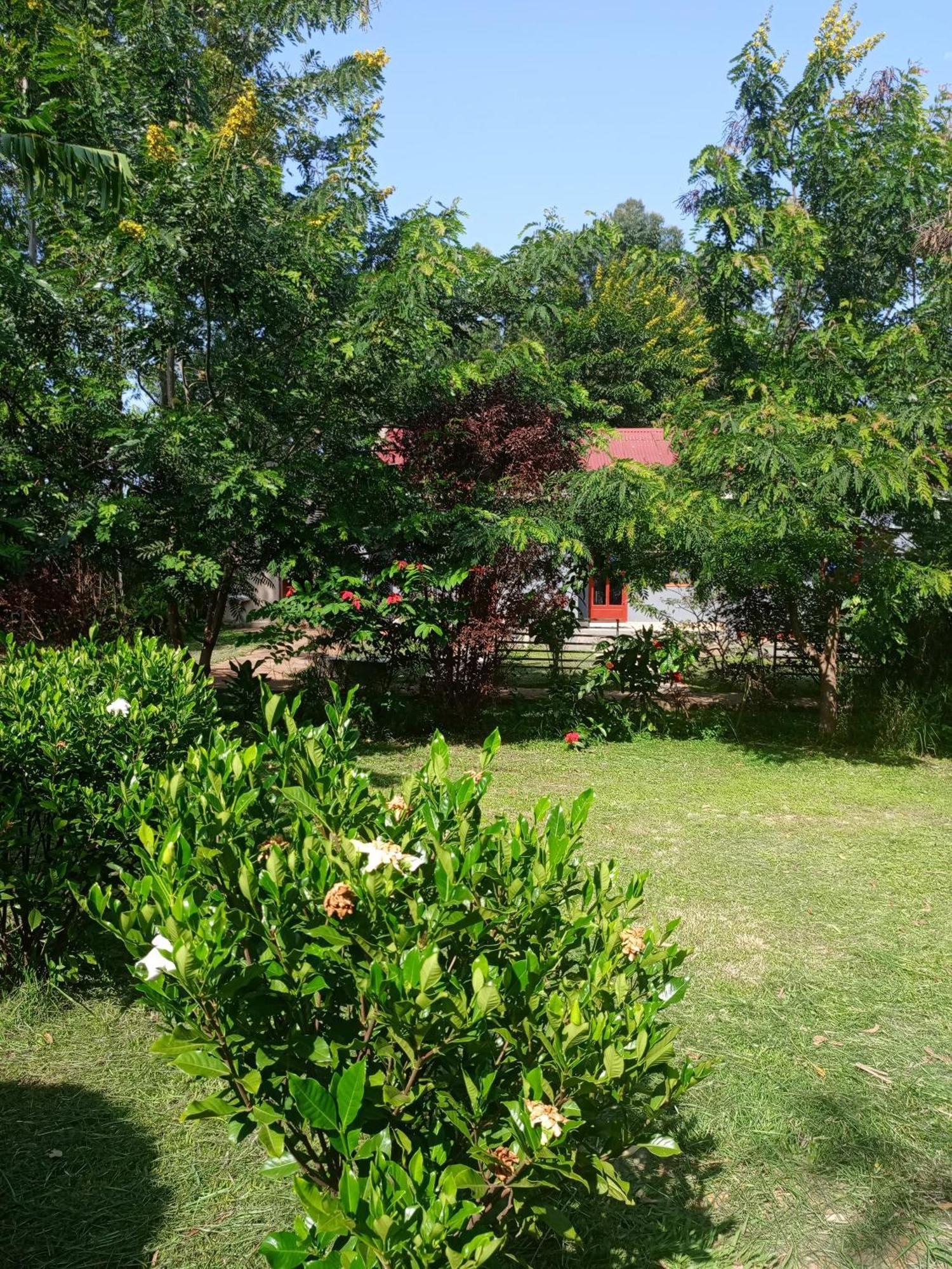 Pross Residence Masindi Kültér fotó